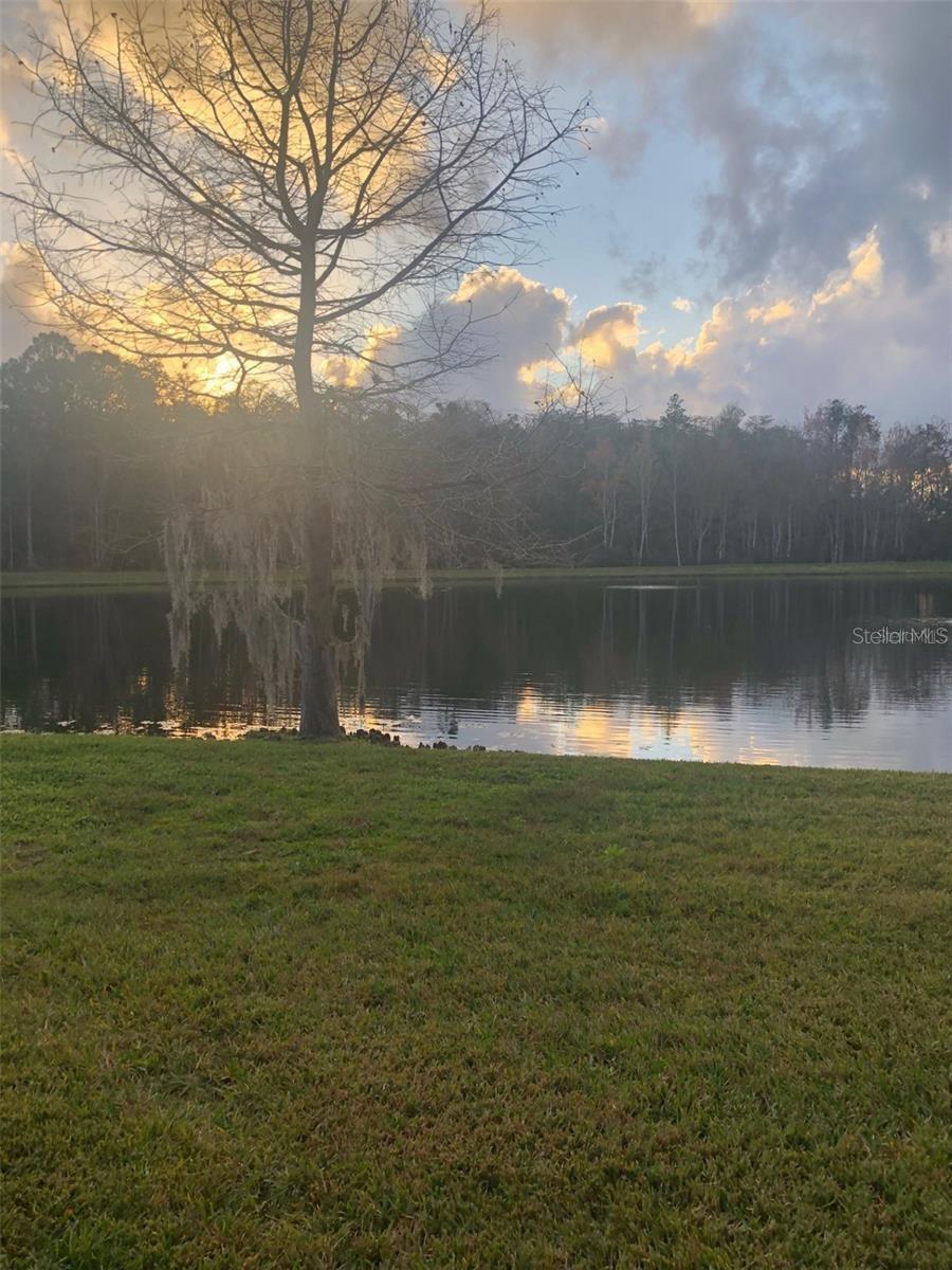 Image 10 of 10 For 5906 Tivoli Gardens Boulevard
