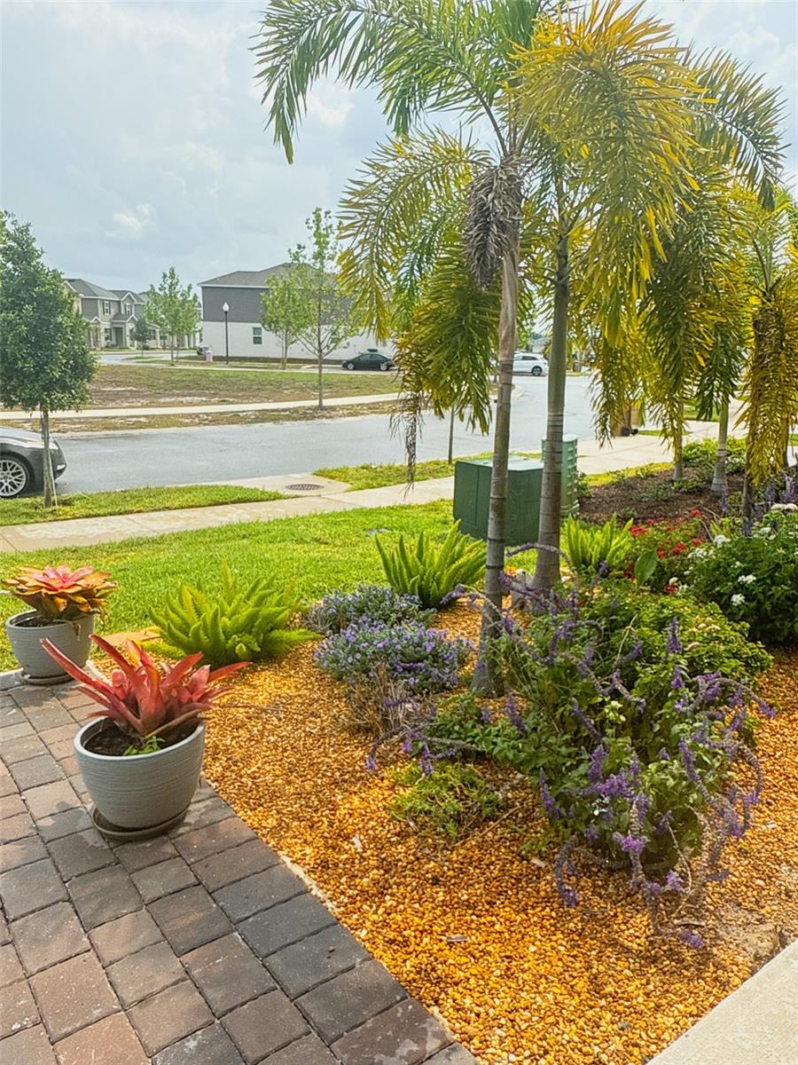 Image 2 of 16 For 6488 Needle Way