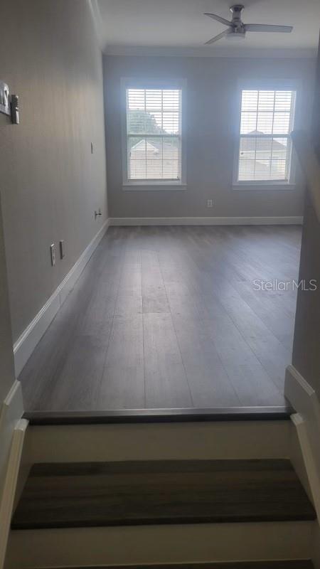 Image 3 of 26 For 1328 Celebration Avenue B