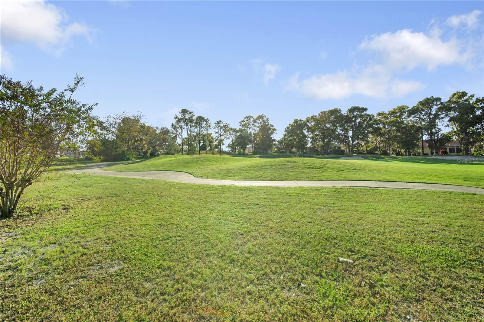 Listing photo id 28 for 9275 Players Drive