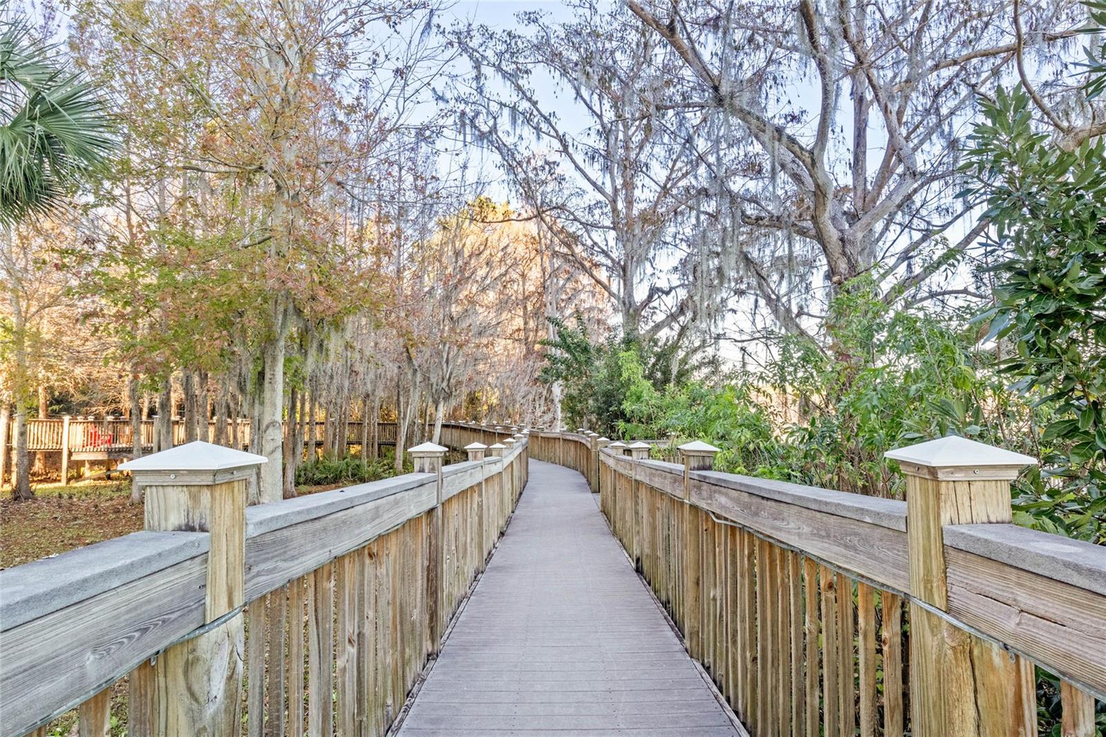 Image 58 of 72 For 13415 Blue Heron Beach Drive 401