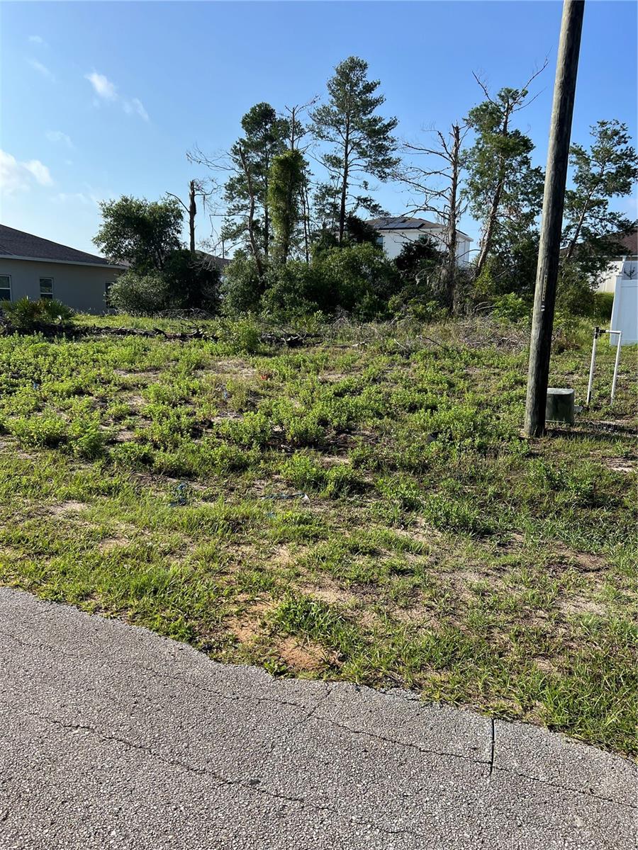 Listing Details for 317 Elderberry Court, POINCIANA, FL 34759