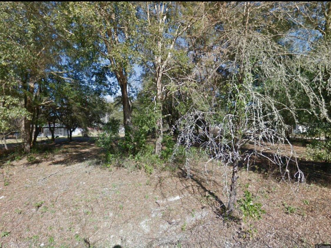 Listing Details for 17449 89th Terrace, FANNING SPRINGS, FL 32693