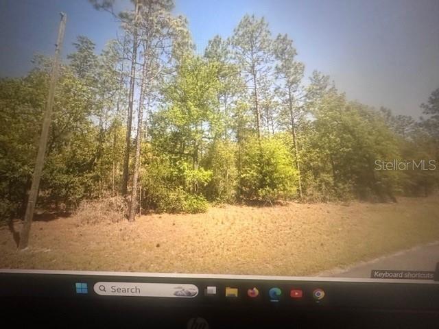 Listing Details for 0 Sw 207 Court, DUNNELLON, FL 34431