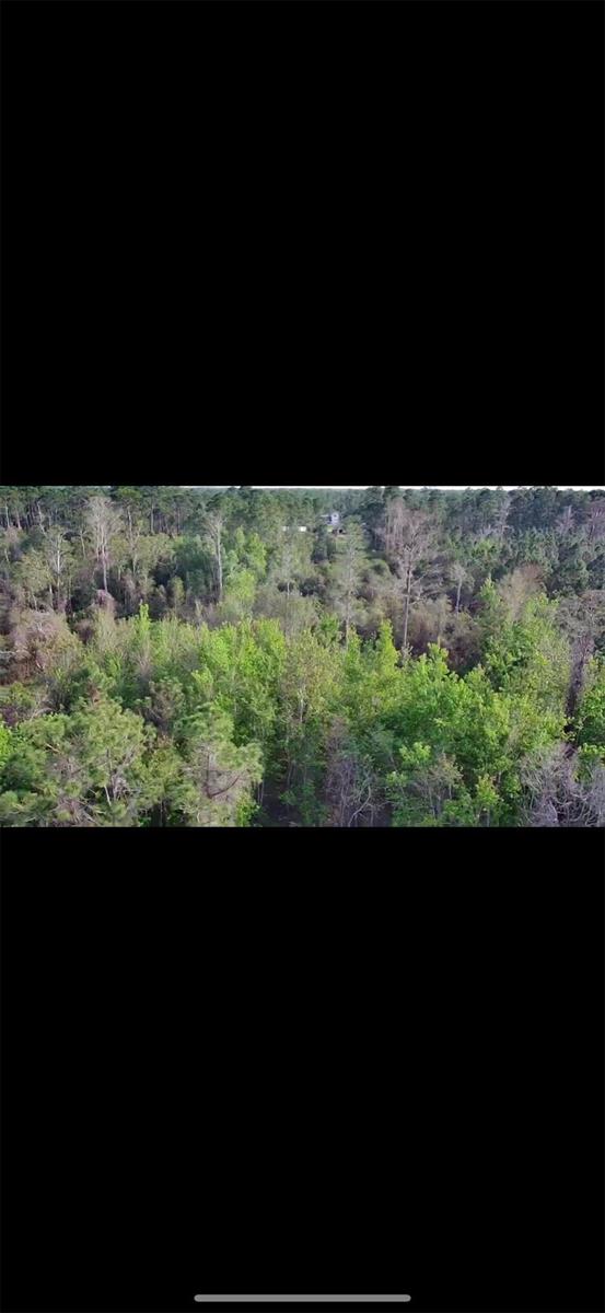 Image 3 of 4 For 4150 Quail Nest Lane