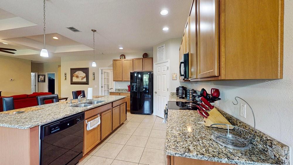 Image 21 of 60 For 1723 Brassie Court