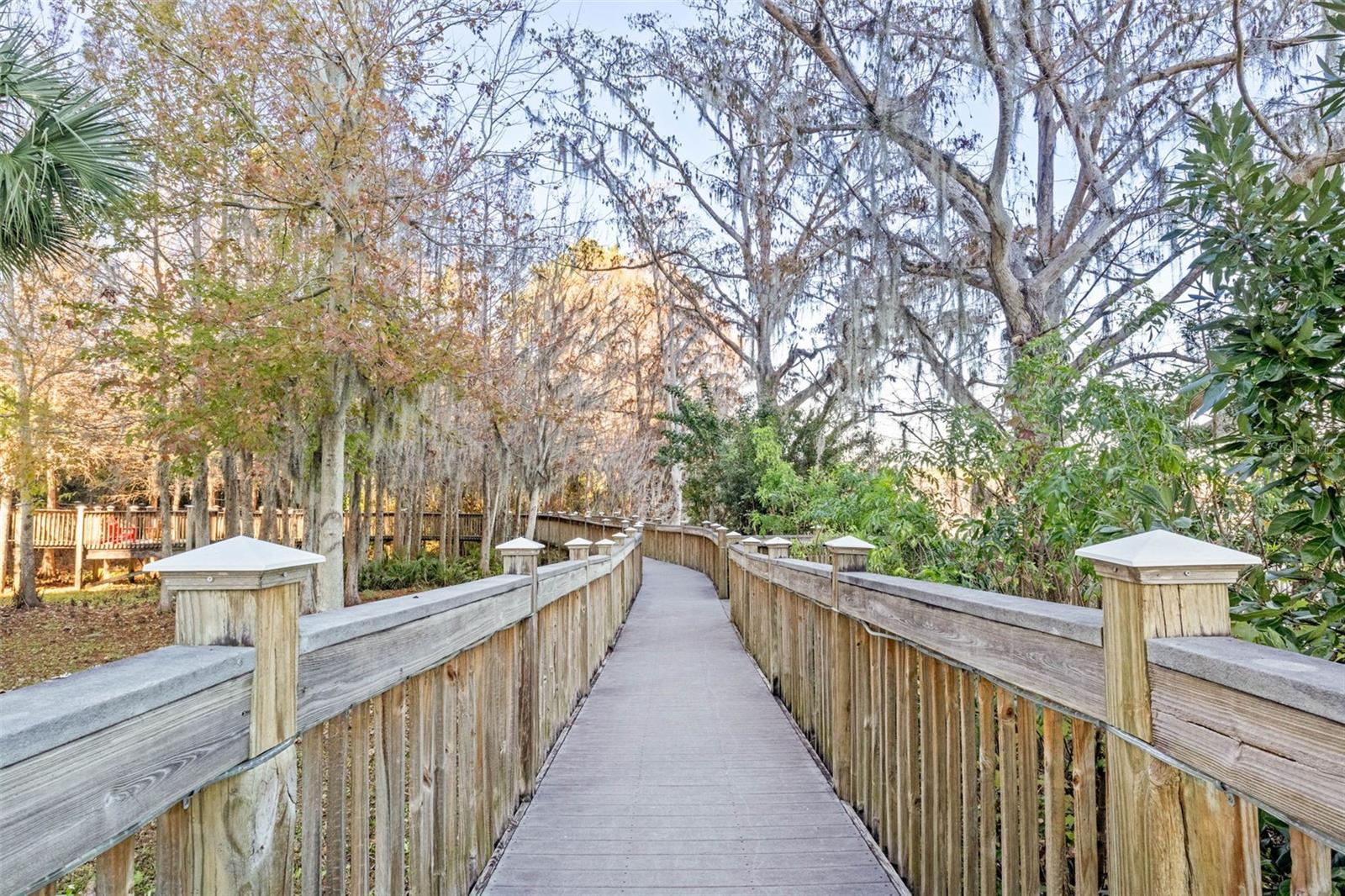 Image 51 of 61 For 13427 Blue Heron Beach Drive 1703