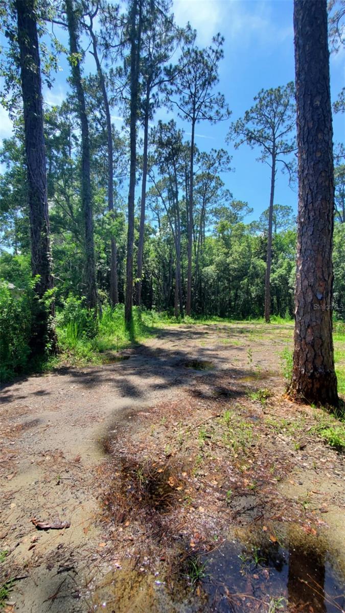 Details for 2648 Park Avenue, SANFORD, FL 32773