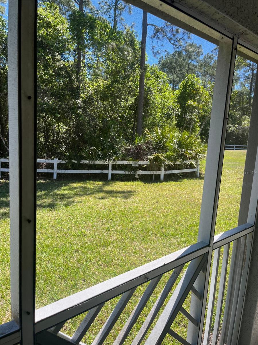 Image 7 of 18 For 11903 Sandy Knoll Court 916