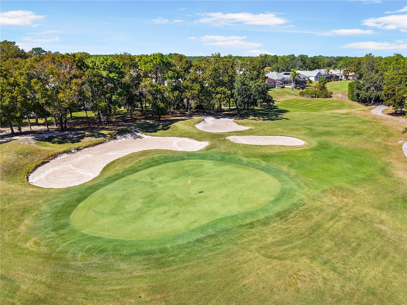 Image 31 of 32 For 9211 Players Drive