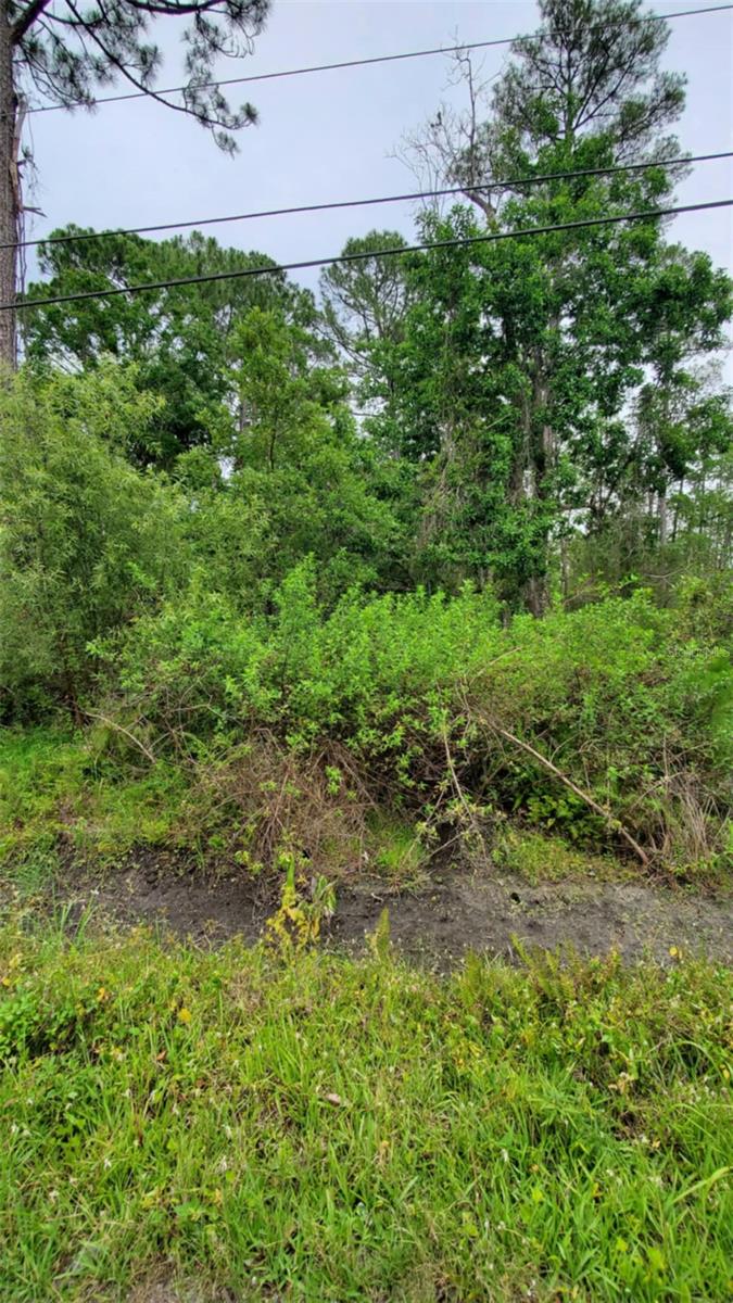 Image 3 of 4 For 1395 10th Avenue