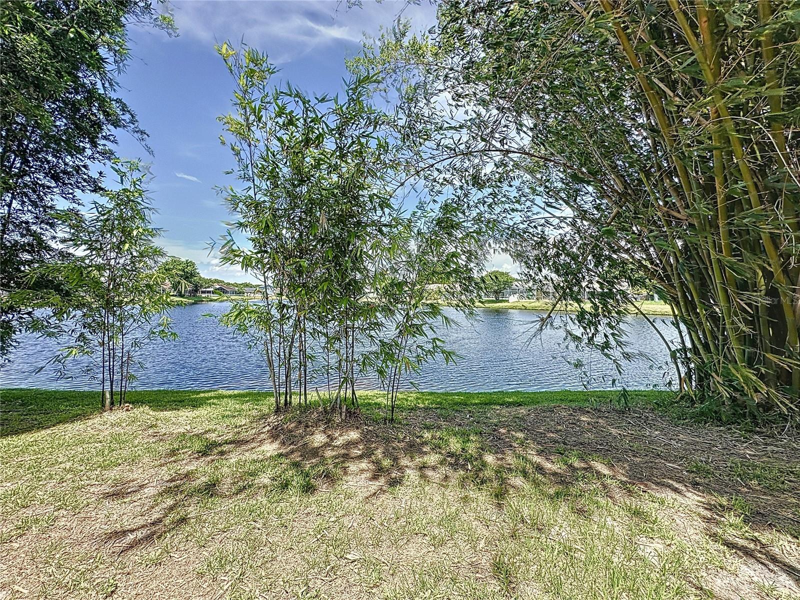 Image 45 of 63 For 86 Blackberry Creek Drive