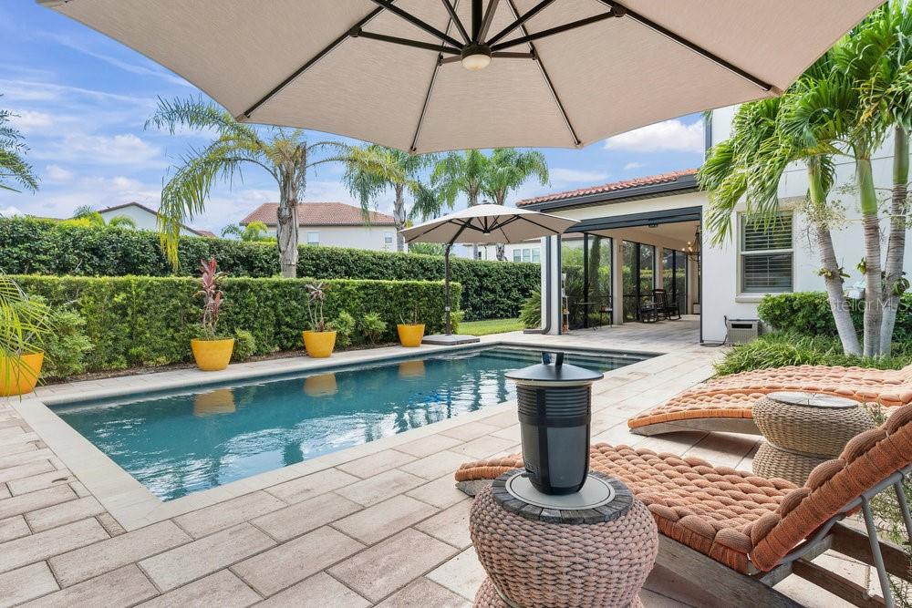 Image 42 of 53 For 10836 Royal Cypress Way