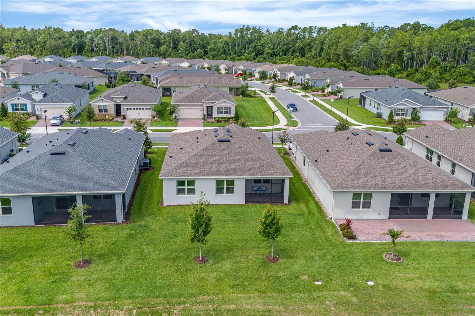 Image 36 of 42 For 17795 Blazing Star Circle