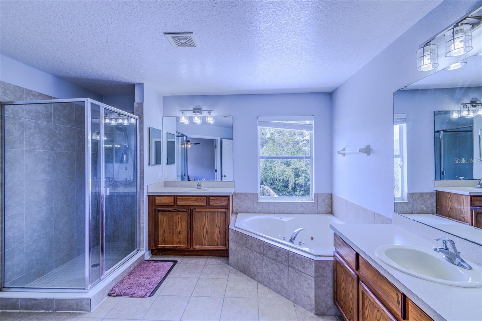 Image 12 of 21 For 12715 Moss Park Ridge Drive