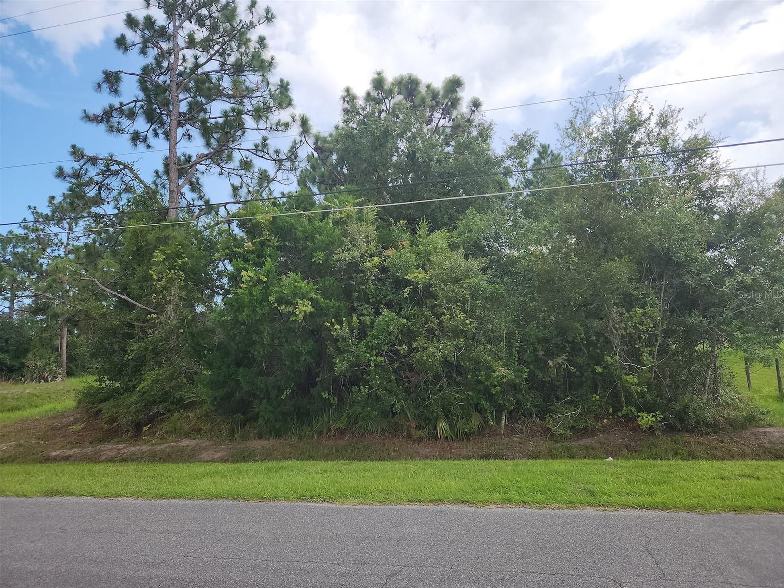 Image 3 of 7 For Ralston Street