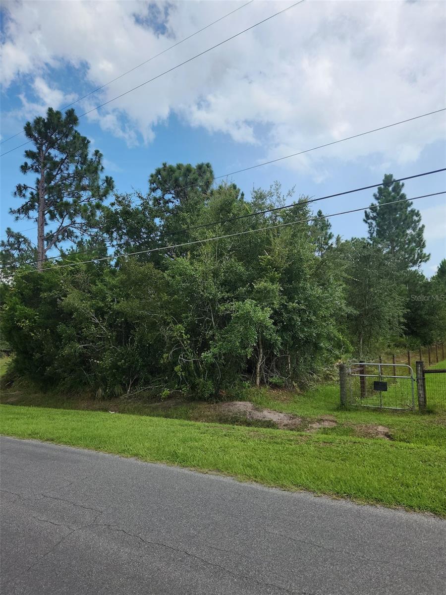 Image 6 of 7 For Ralston Street