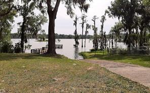 Image 6 of 6 For  Lot 9  