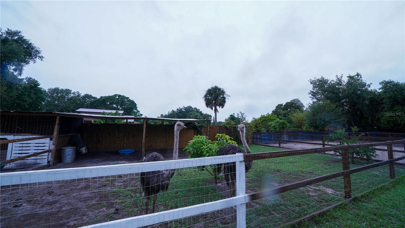 Image 54 of 64 For 2851 Granada Boulevard