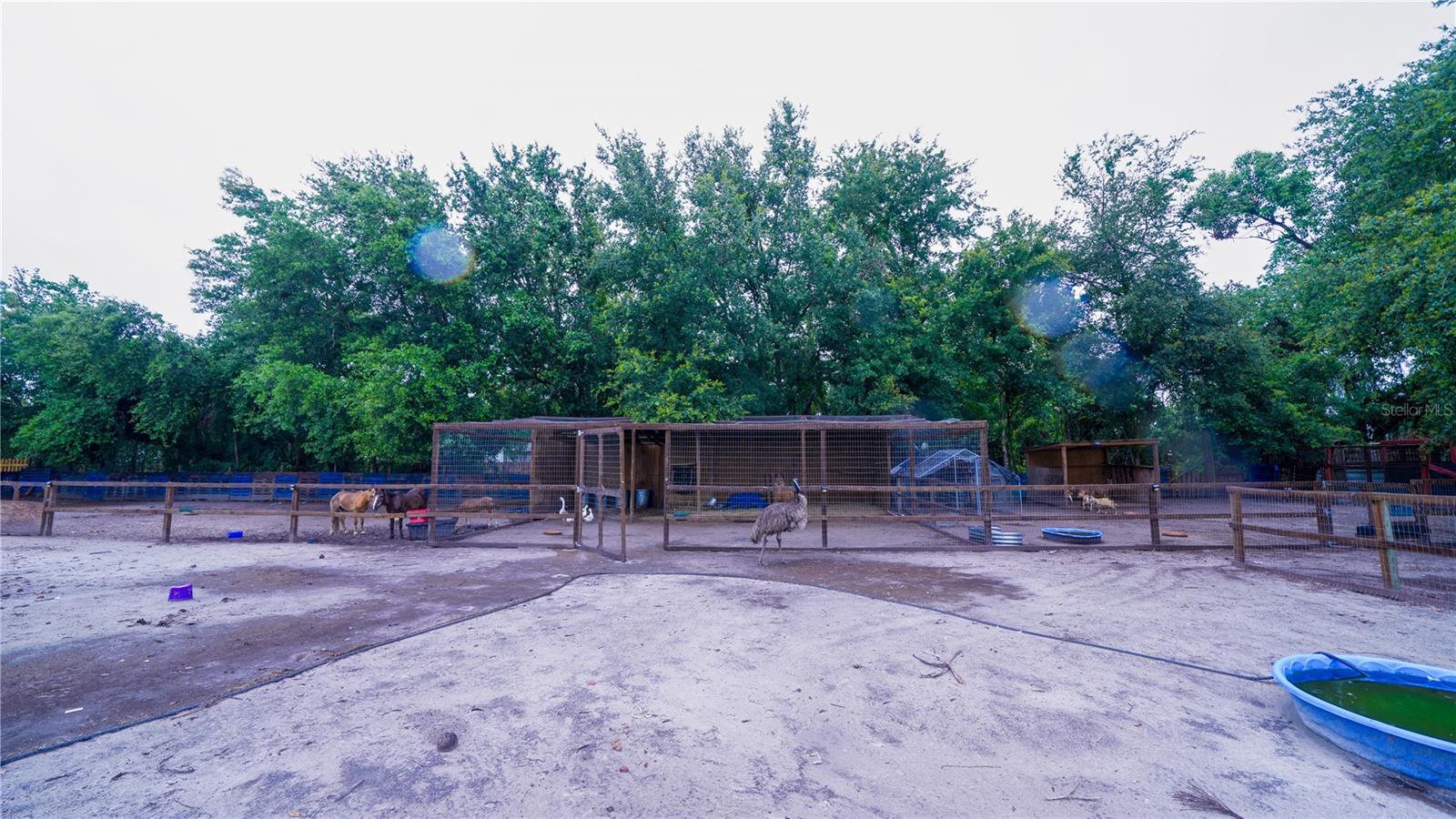Image 55 of 64 For 2851 Granada Boulevard
