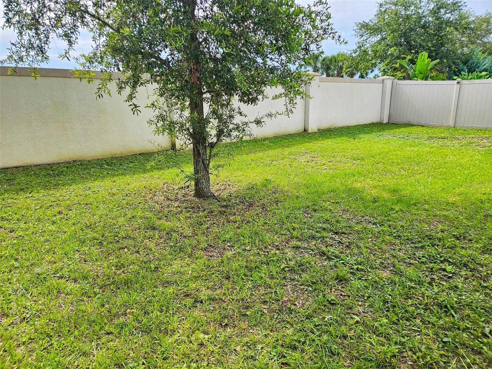 Image 16 of 18 For 2479 White Lilly Drive