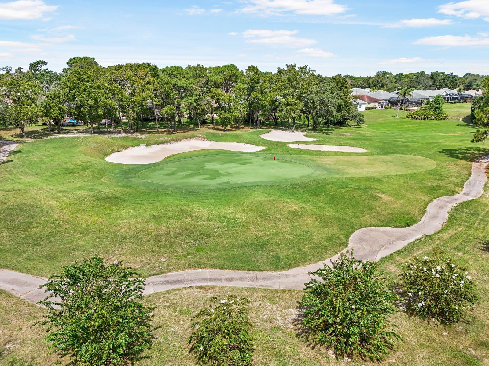 Image 35 of 44 For 9229 Players Drive