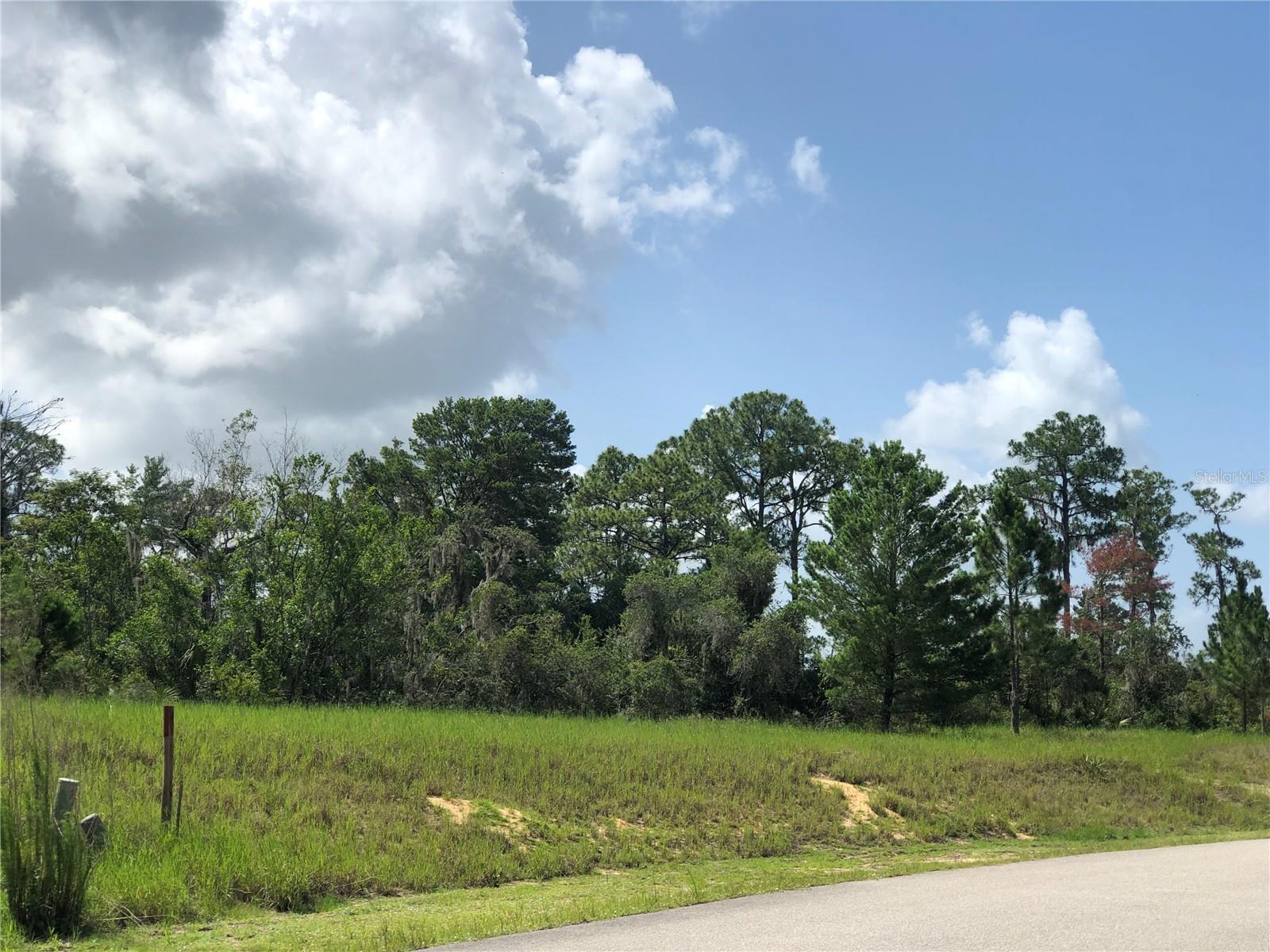 Details for 1005 Hawks Landing Drive, SEBRING, FL 33875