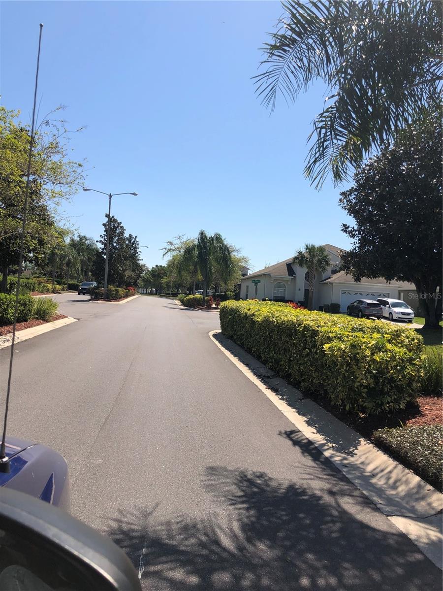 Image 41 of 65 For 8121 Fan Palm Way