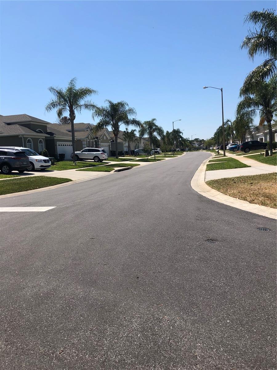 Image 42 of 65 For 8121 Fan Palm Way