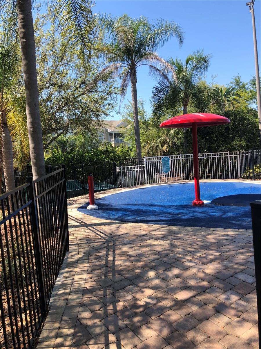 Image 45 of 65 For 8121 Fan Palm Way