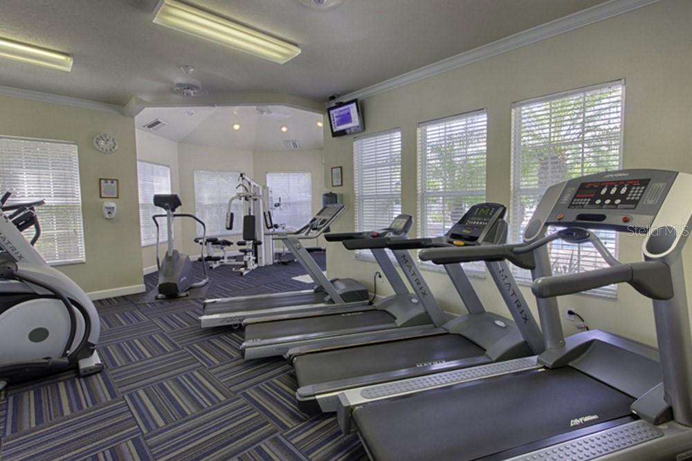 Image 55 of 65 For 8121 Fan Palm Way