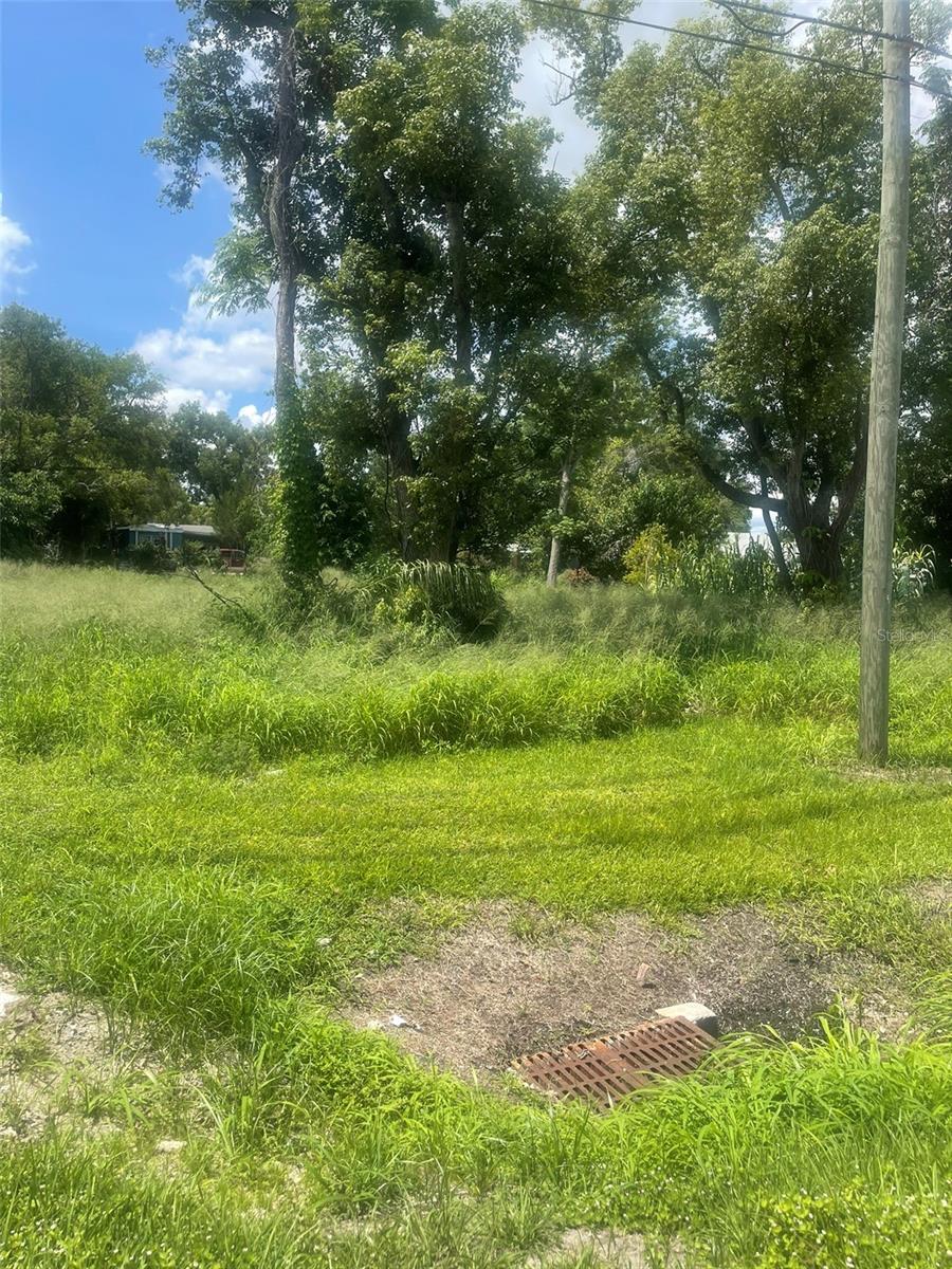 Details for 14435 Oak Street, GROVELAND, FL 34736