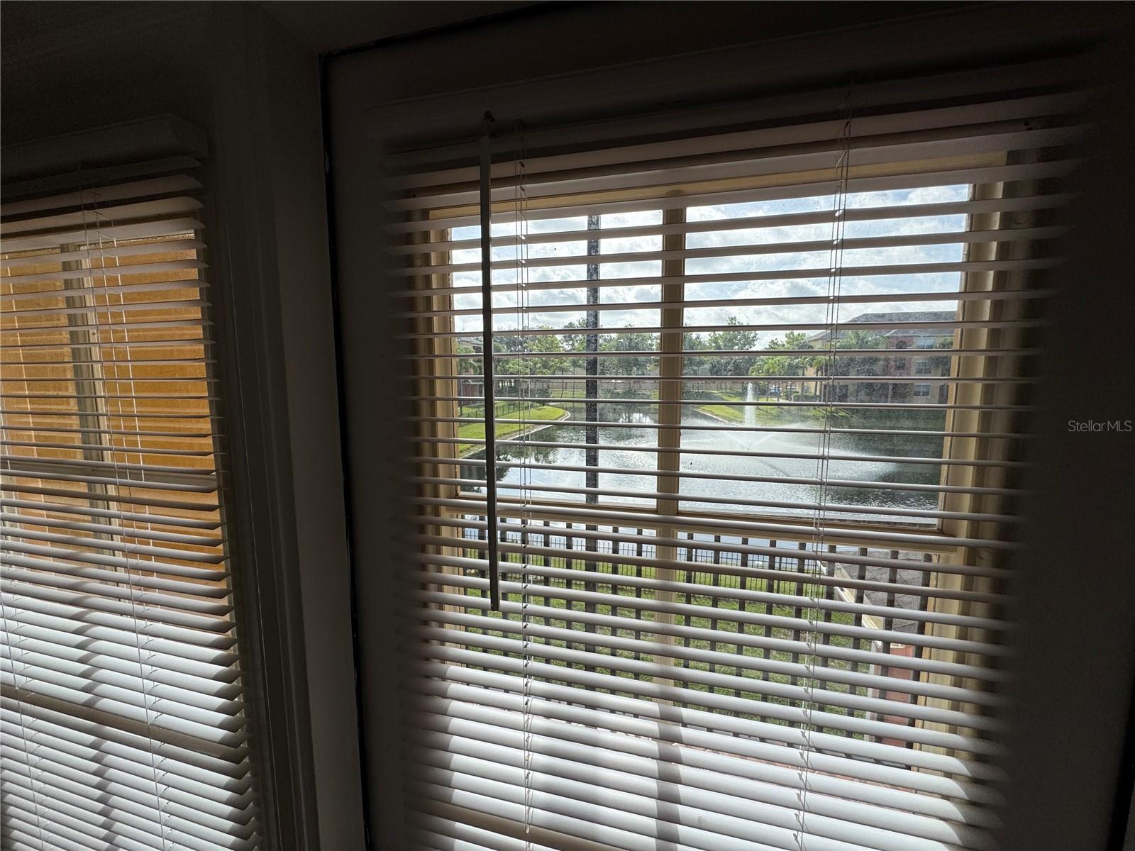 Image 10 of 24 For 10831 Windsor Walk Drive 1210