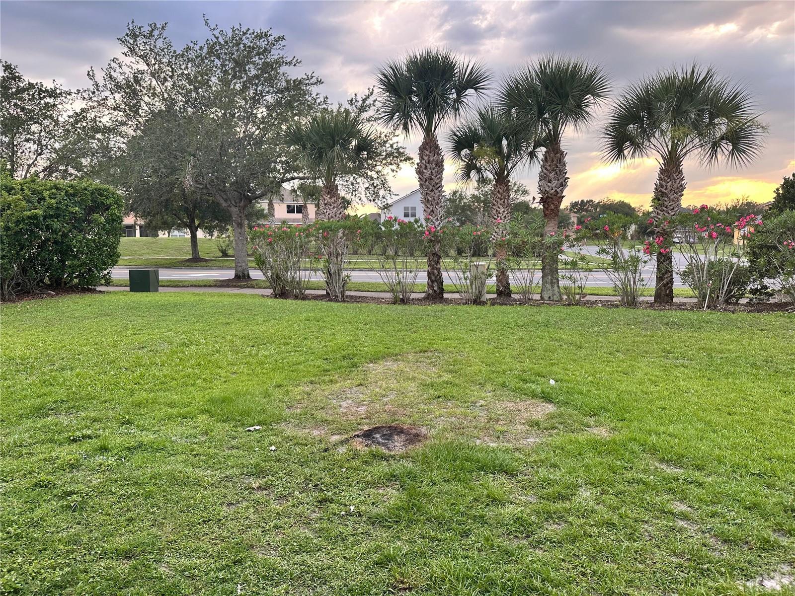 Image 20 of 21 For 2723 Star Grass Circle