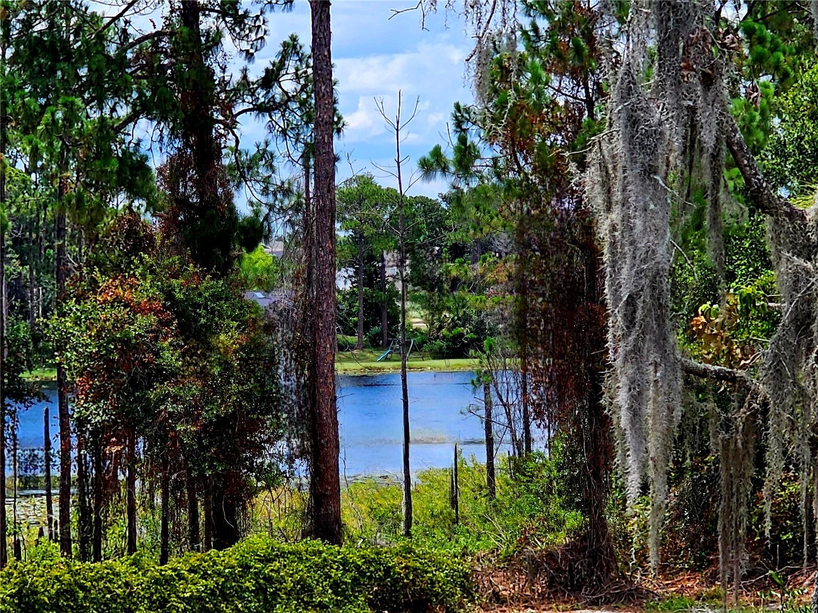 Image 2 of 60 For 600 Lake Butler Avenue