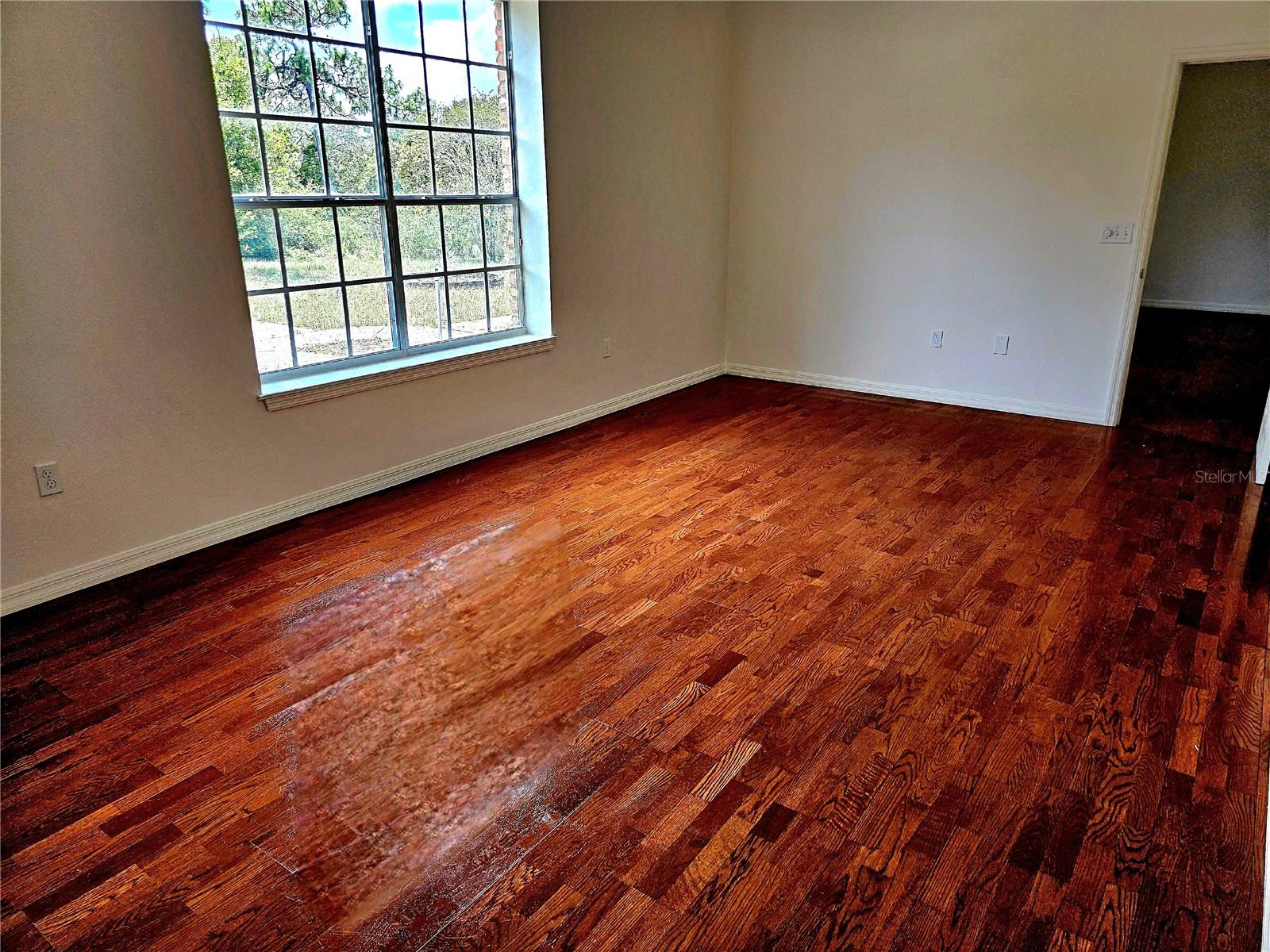 Image 22 of 60 For 600 Lake Butler Avenue