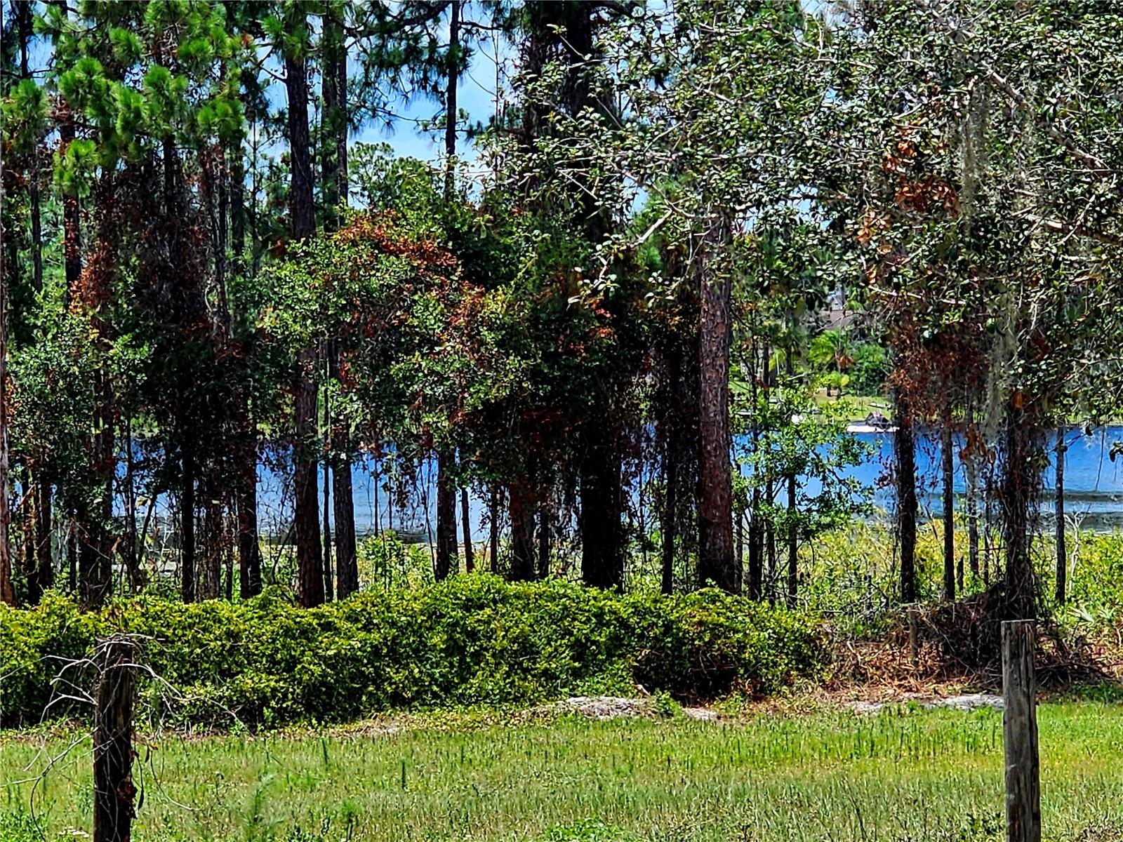 Image 3 of 60 For 600 Lake Butler Avenue