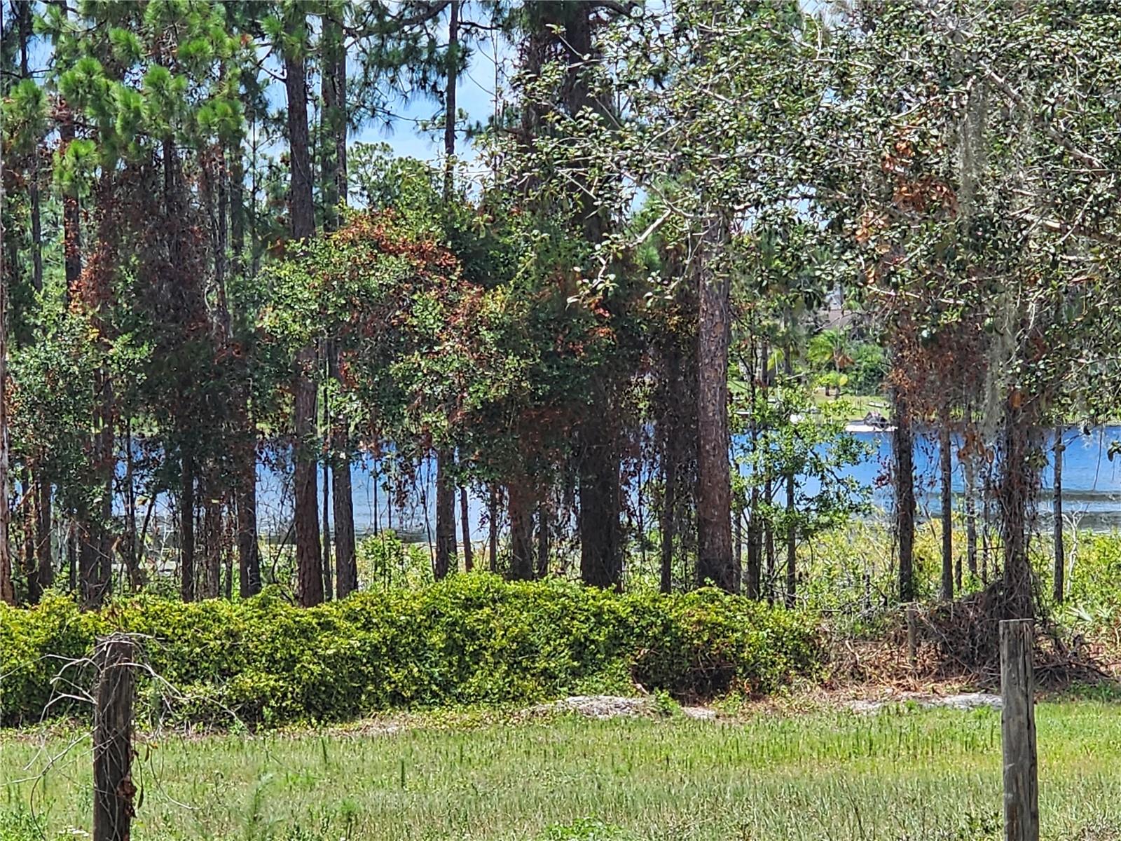 Image 60 of 60 For 600 Lake Butler Avenue