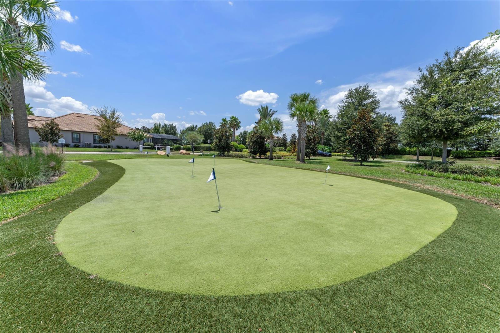 Image 55 of 68 For 661 Drop Shot Drive