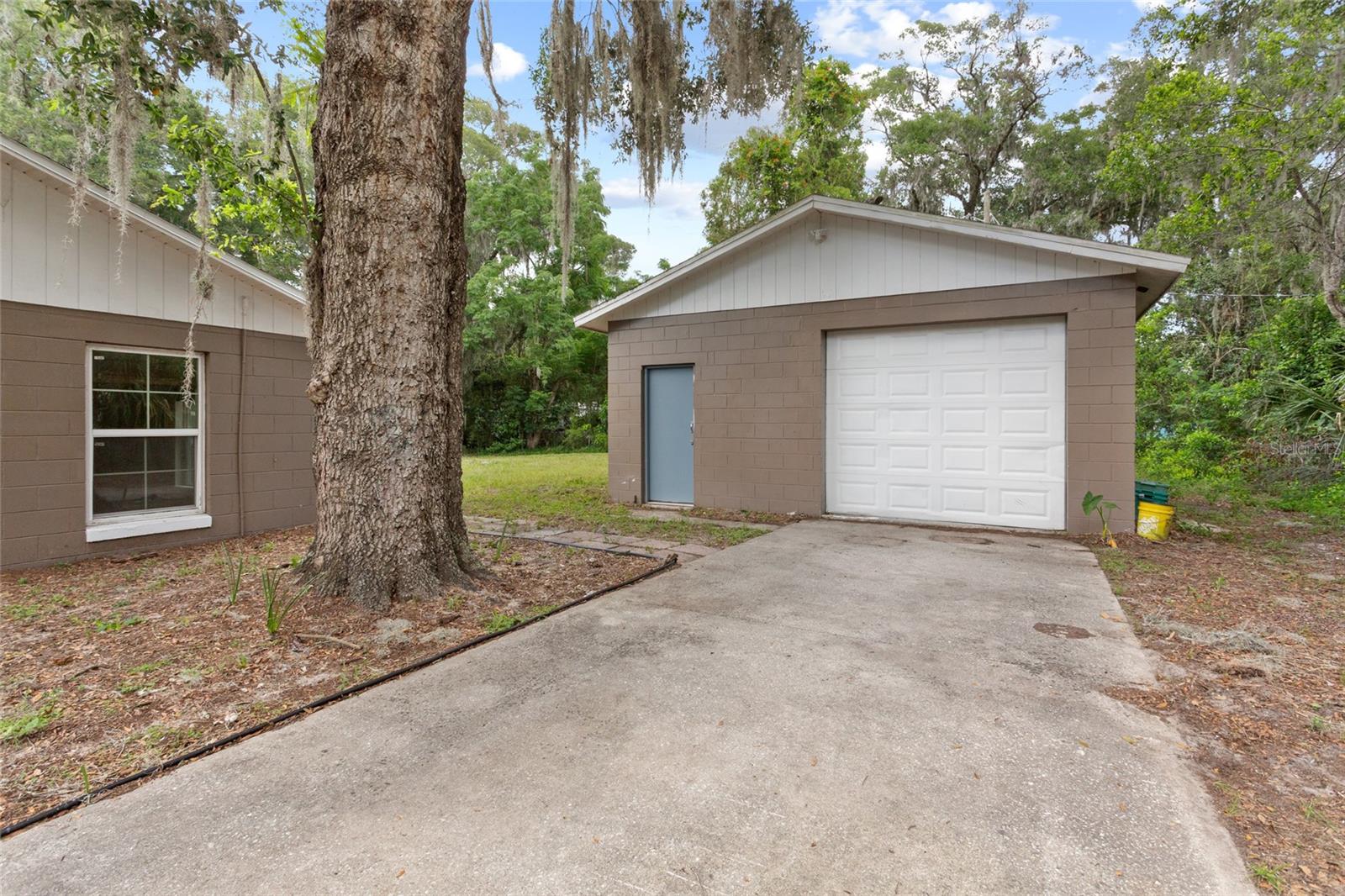 Image 4 of 28 For 1800 Banyan Street