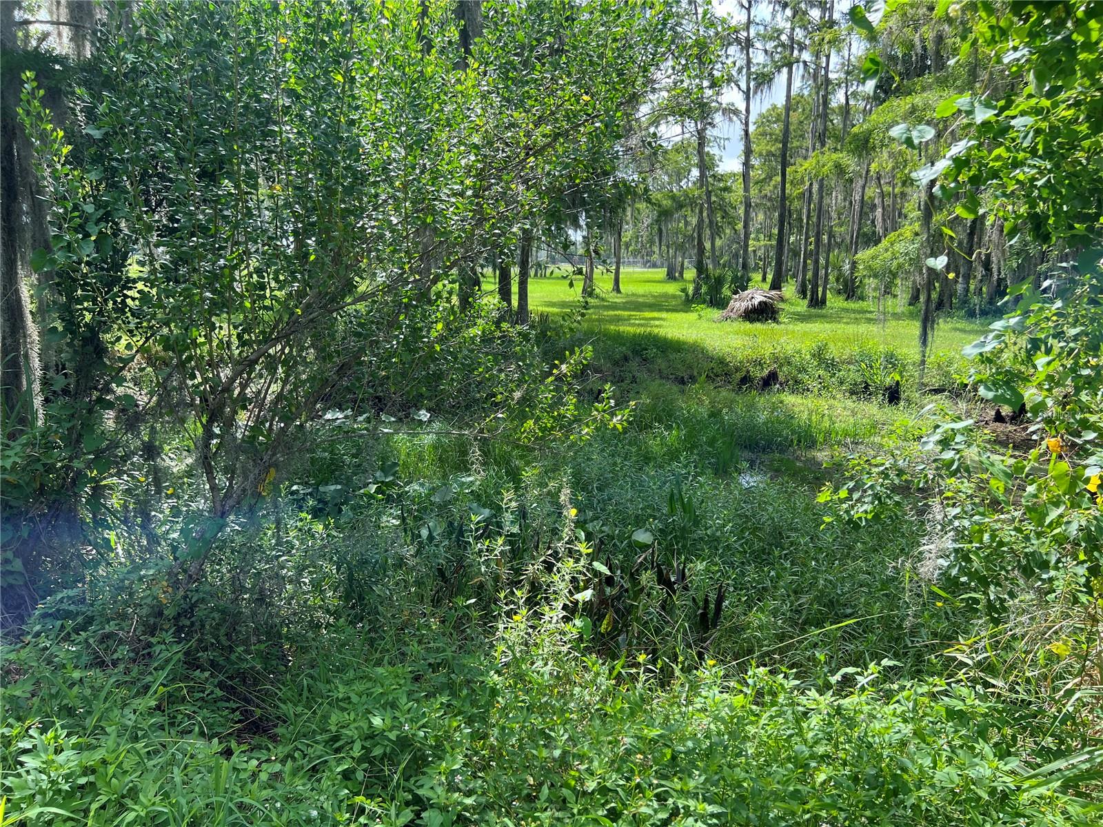 Image 65 of 77 For 2700 Cherokee Road