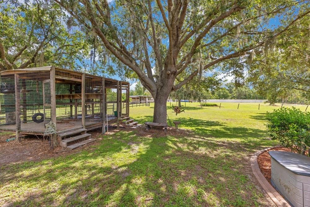 Image 26 of 49 For 3181 Canter Lane