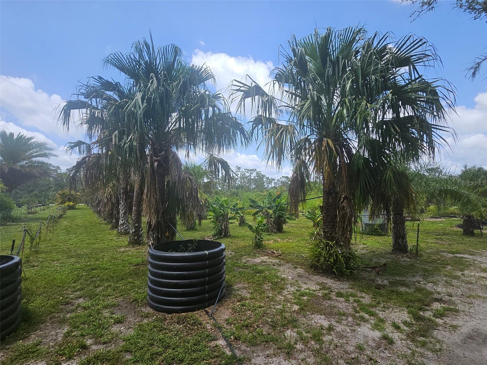 Image 8 of 16 For 21910 Taylor Drive