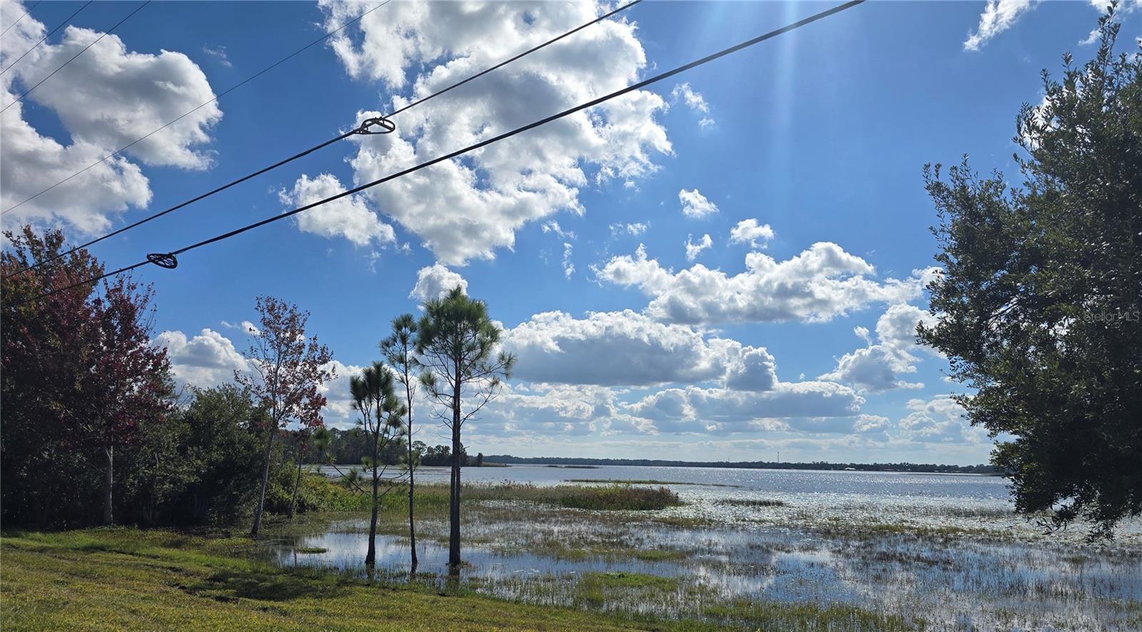 Image 39 of 42 For 1634 Dolphin Drive