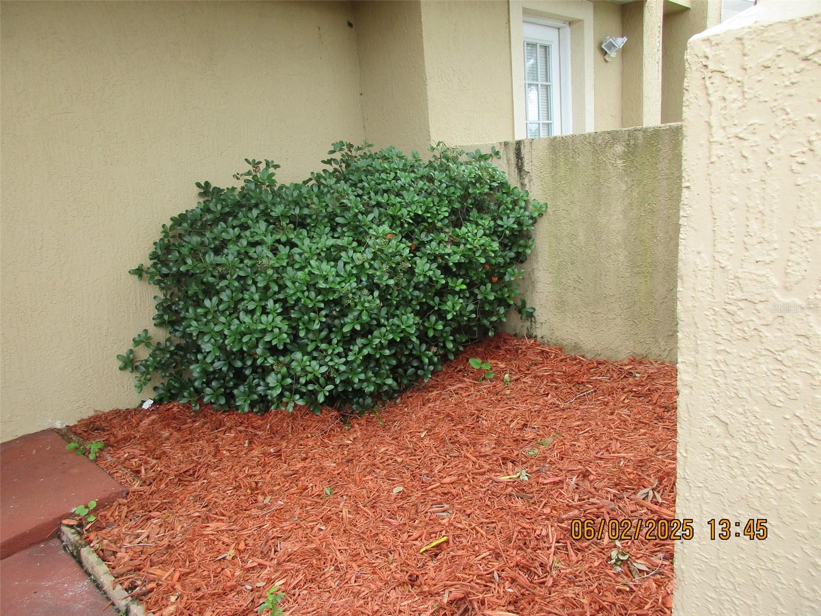 Image 2 of 25 For 3243 Sandy Shore Lane