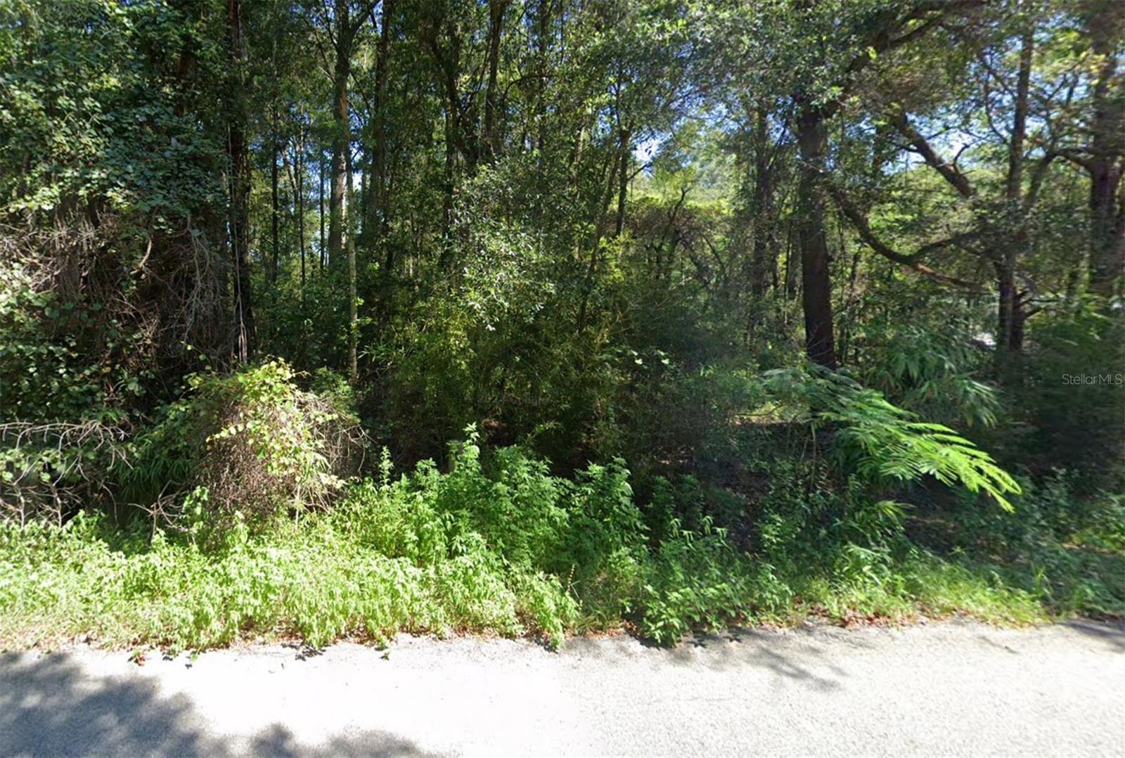Details for 11575 17th Place, OCALA, FL 34482