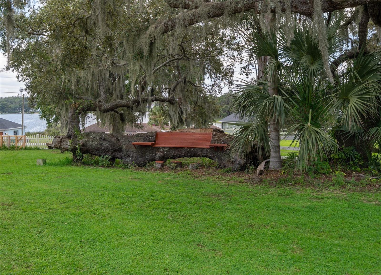 Image 47 of 61 For 17550 County Road 455