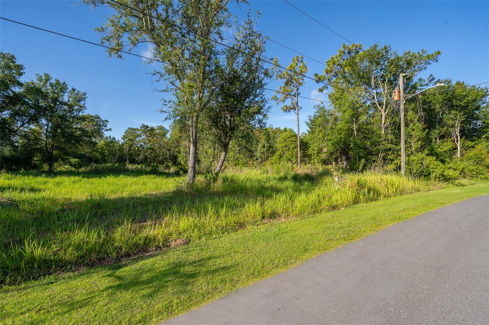 Image 9 of 11 For San Benito Lot #5 Way