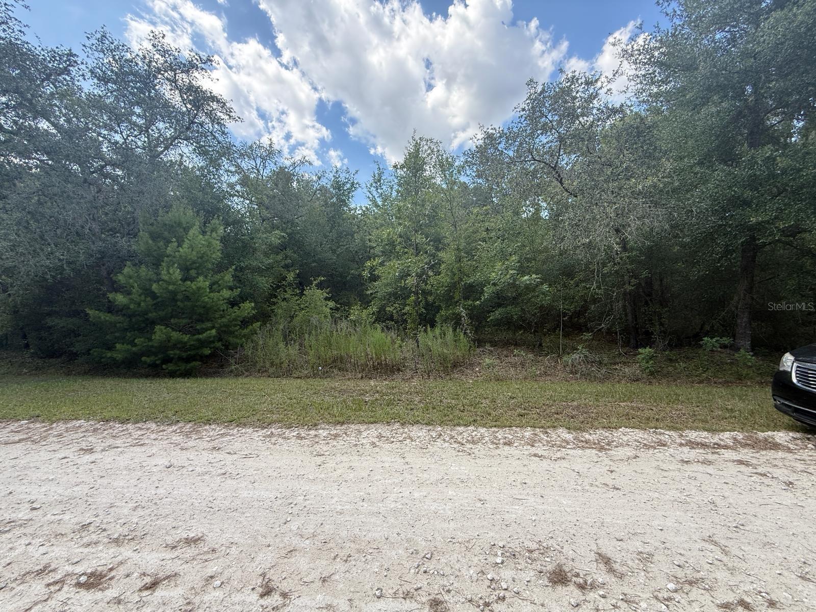 Details for Tbd 98th Street, DUNNELLON, FL 34432