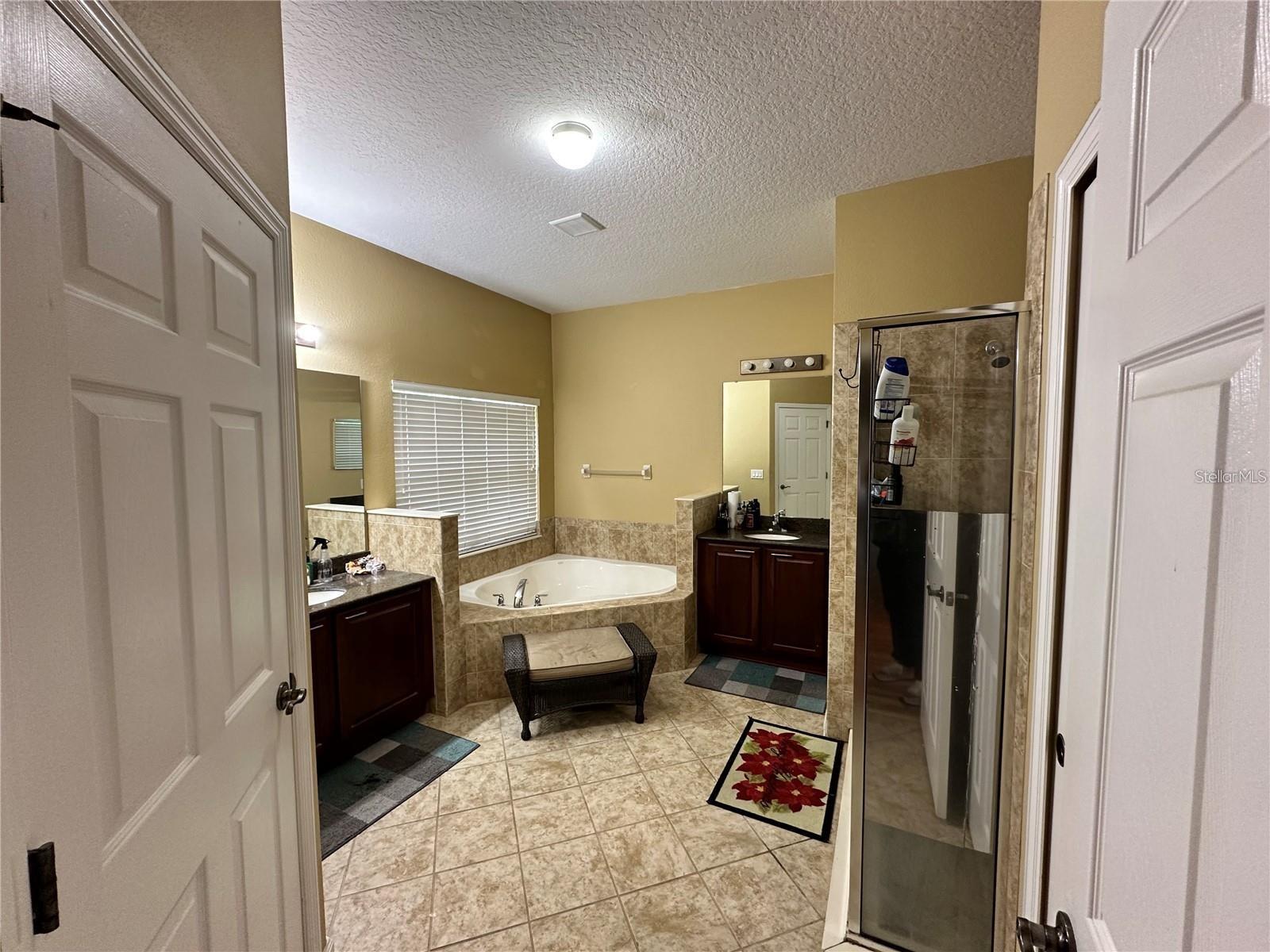 Image 6 of 8 For 1248 Balsam Willow Trail